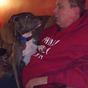 Meet your Posher, Harry